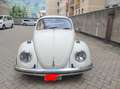Volkswagen Maggiolino Beige - thumbnail 11