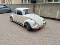 Volkswagen Maggiolino Beige - thumbnail 15