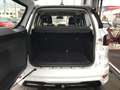 Ford EcoSport 1.0 EcoBoost ST-Line Trekhaak Wit - thumbnail 8