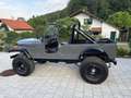 Jeep Sonstige CJ-6 V8 Grau - thumbnail 11