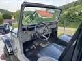 Jeep Sonstige CJ-6 V8 Grau - thumbnail 6