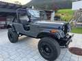 Jeep Sonstige CJ-6 V8 Grau - thumbnail 8