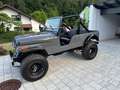 Jeep Sonstige CJ-6 V8 Grau - thumbnail 12