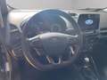 Ford EcoSport 1.0 ecoboost ST-Line s&s 125cv my20.25 Blauw - thumbnail 8