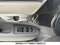 Volvo V90 T6 AWD Plug-In Plus Dark BLIS H/K 360° AHK Gri - thumbnail 14