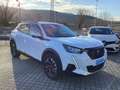 Peugeot 2008 2ª serie BlueHDi 100 S&S Allure Weiß - thumbnail 6