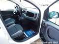 Fiat Panda Van Business 1.0 Klima 2-Sitzer Trennwand Wit - thumbnail 3