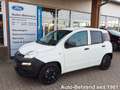 Fiat Panda Van Business 1.0 Klima 2-Sitzer Trennwand Weiß - thumbnail 1