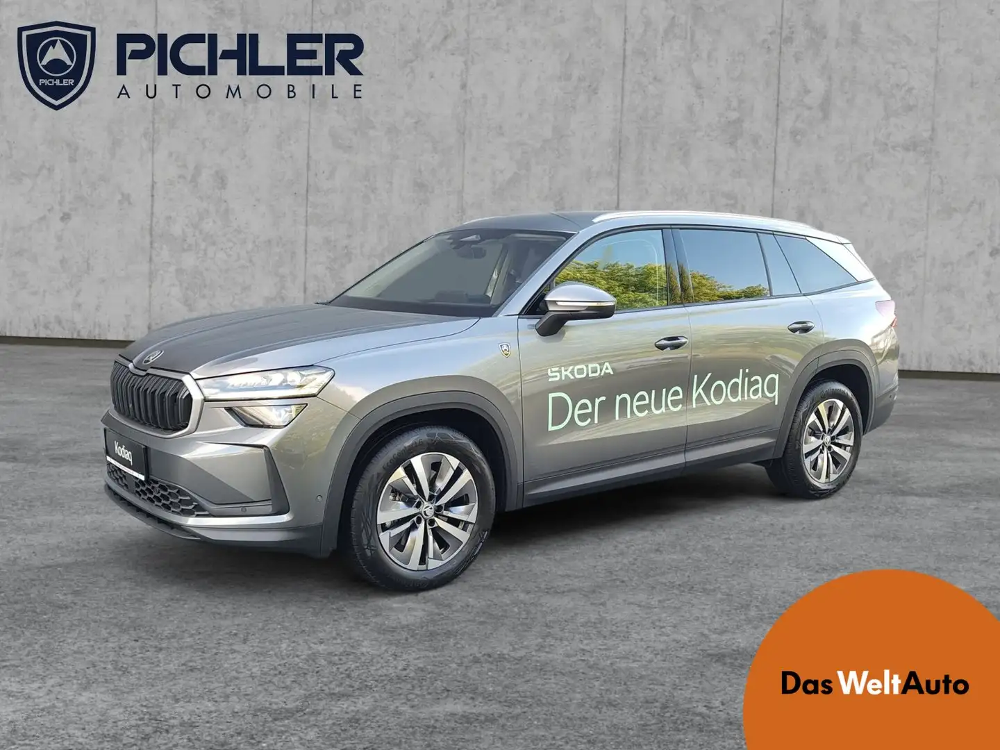 Skoda Kodiaq Selection TDI DSG Grau - 1