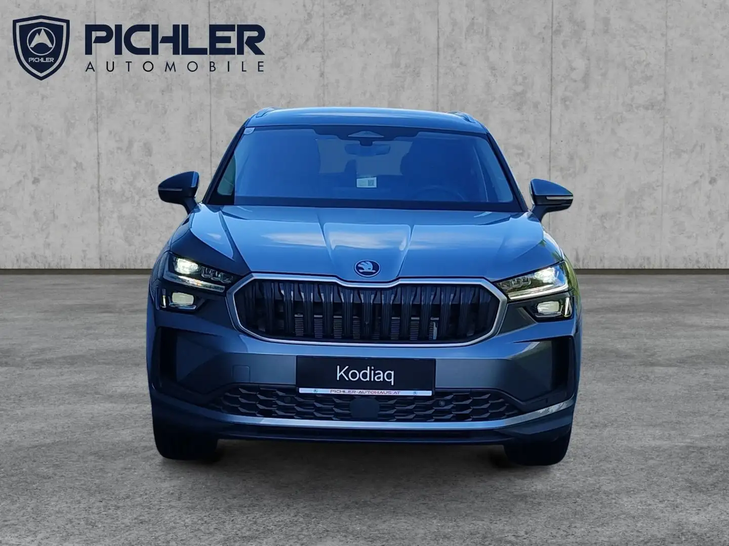 Skoda Kodiaq Selection TDI DSG Grau - 2