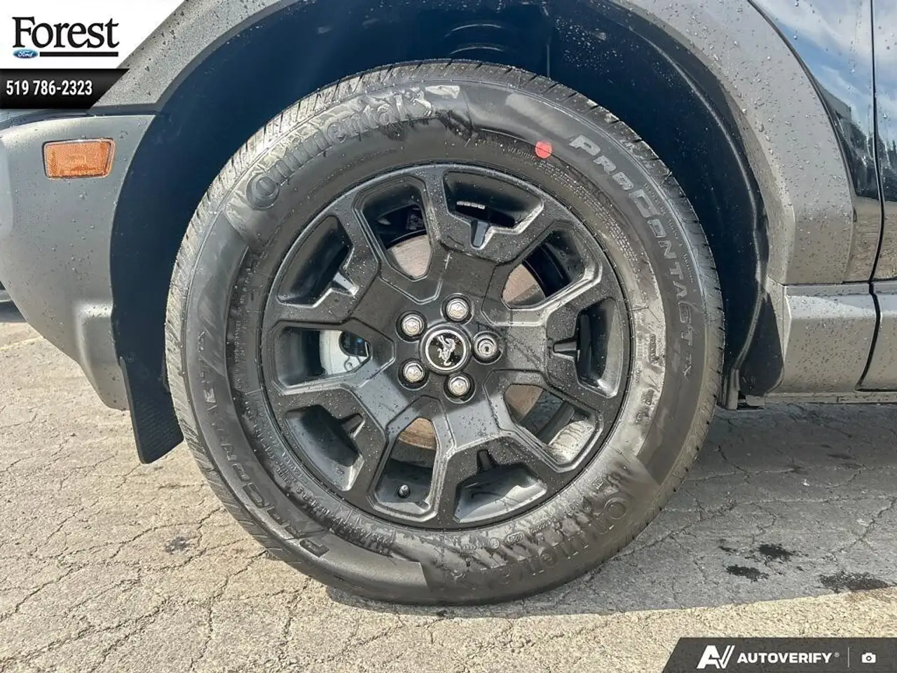 Ford Bronco Sport снимка Ford Bronco Sport