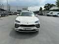 Lamborghini Urus 4.0i V8 Biturbo - BVA . garantie 12 mois Blanc - thumbnail 2