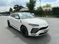 Lamborghini Urus 4.0i V8 Biturbo - BVA . garantie 12 mois Blanc - thumbnail 3