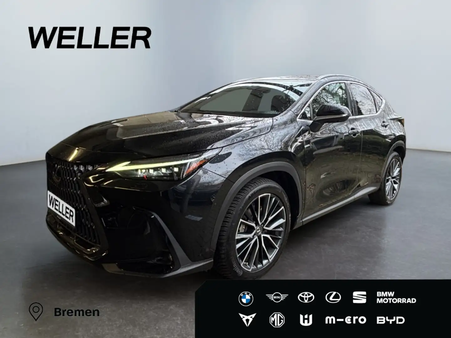 Lexus E-FOUR Business *Matrix*360°*SHZ*el Heck* Schwarz - 1