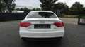 Audi A5 Sportback 3.0 TDI quattro 245PS*2x Sline*19* Blanc - thumbnail 4