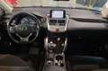 Lexus NX 300 300h Business Navigation 2WD Noir - thumbnail 8