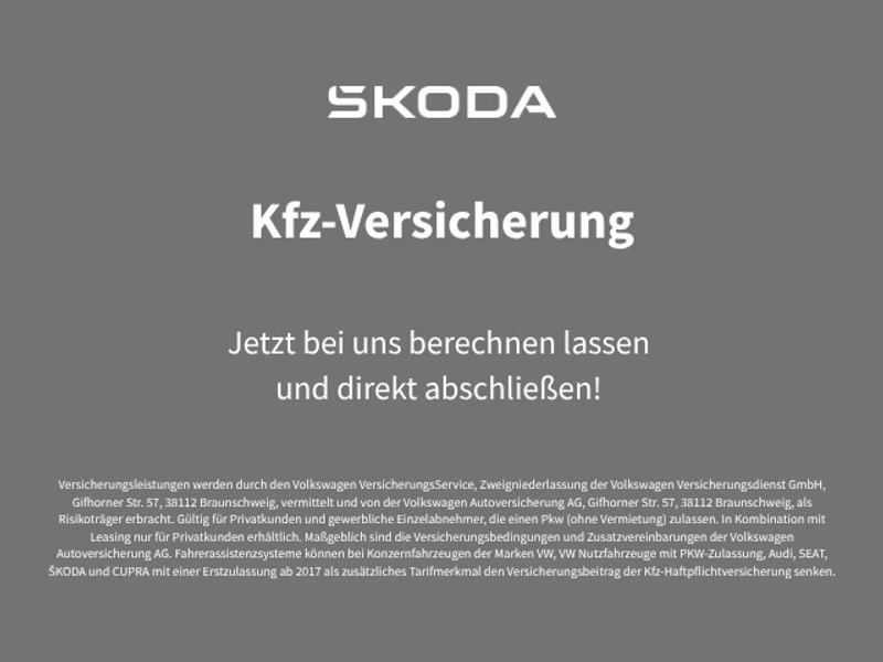 Skoda Fabia 1.5 TSI Monte Carlo DSG Navi LED — photo 8