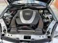 Mercedes-Benz SLK 350 SLK Roadster SLK 350 Argent - thumbnail 7