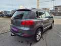 Volkswagen Tiguan *** ALLRAD *** Sport Grau - thumbnail 13
