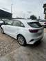 Kia Ceed / cee'd 1.0 T-GDI 120 ch ISG GT Line Premium Business - thumbnail 7