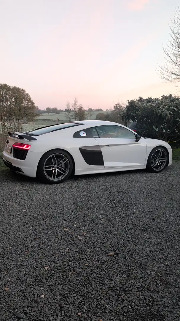 Audi R8 V10 plus Blanc - 1
