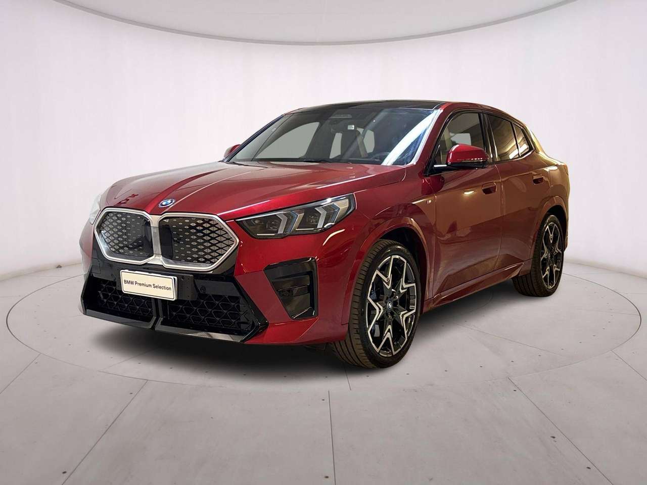 BMW iX2 iX2 xDrive30 MSport