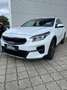 Kia XCeed 1.6 GDI DCT6 OPF Plug-in-Hybrid Spirit Weiß - thumbnail 1