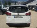 Kia Carens Attract Weiß - thumbnail 5