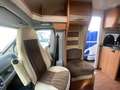 Hobby Limited Edition 650 ESC met enkele bedden - thumbnail 23