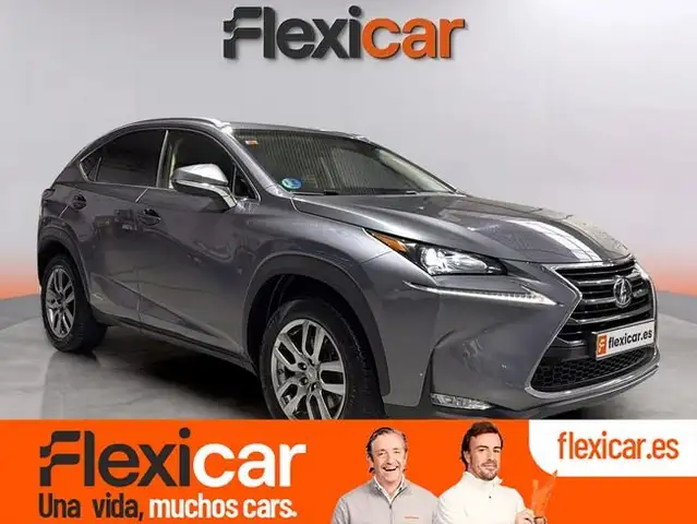 Lexus NX 300 300h Business 2WD