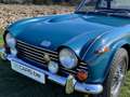Triumph TR5 Azul - thumbnail 11