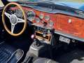 Triumph TR5 Azul - thumbnail 16