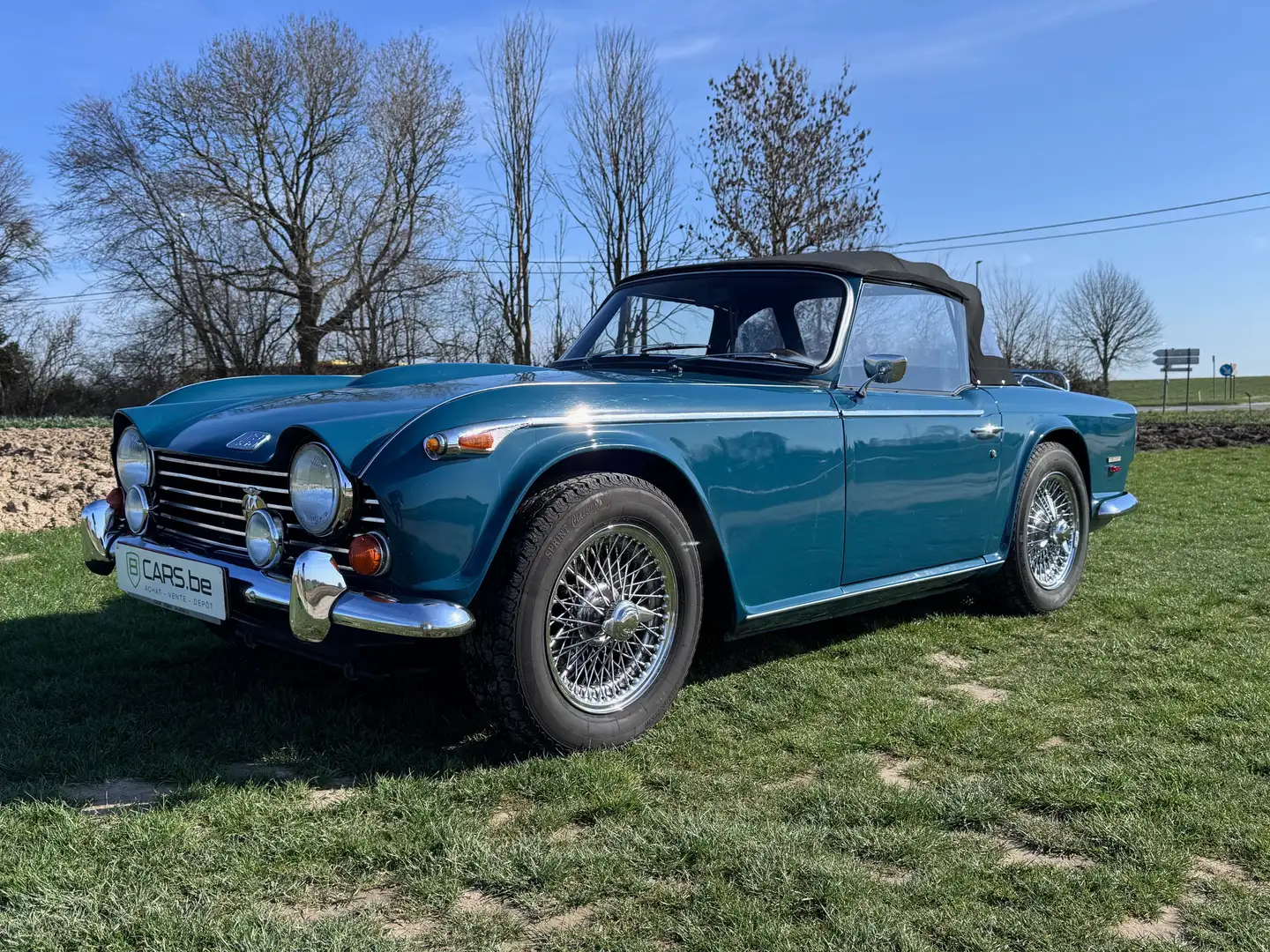 Triumph TR5 Azul - 2