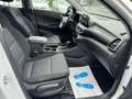 Hyundai TUCSON Advantage 2WD"2.HAND"Automatik" Blanc - thumbnail 22