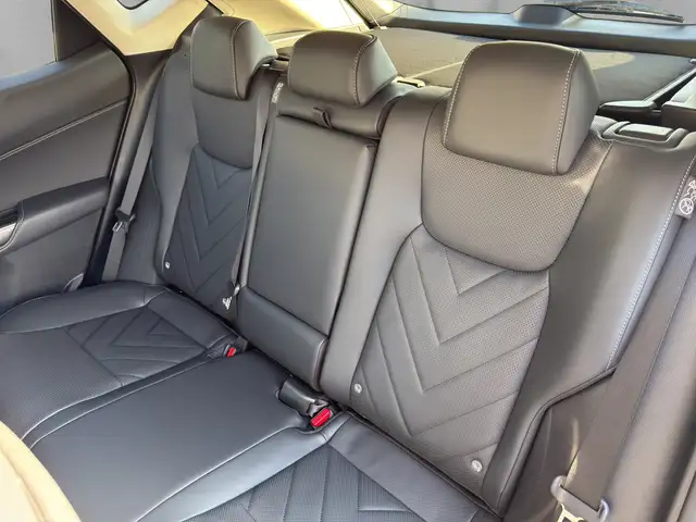 Lexus NX 450h+ Luxury Plug-In Hybrid 292 PS Allrad Ansicht 10