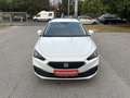 SEAT Leon SP Reference 2,0 TDI / 1BESITZ / WINTER PAKET /... Weiß - thumbnail 11