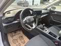 SEAT Leon SP Reference 2,0 TDI / 1BESITZ / WINTER PAKET /... Weiß - thumbnail 15