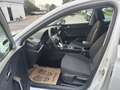SEAT Leon SP Reference 2,0 TDI / 1BESITZ / WINTER PAKET /... Weiß - thumbnail 19