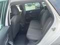 SEAT Leon SP Reference 2,0 TDI / 1BESITZ / WINTER PAKET /... Weiß - thumbnail 20