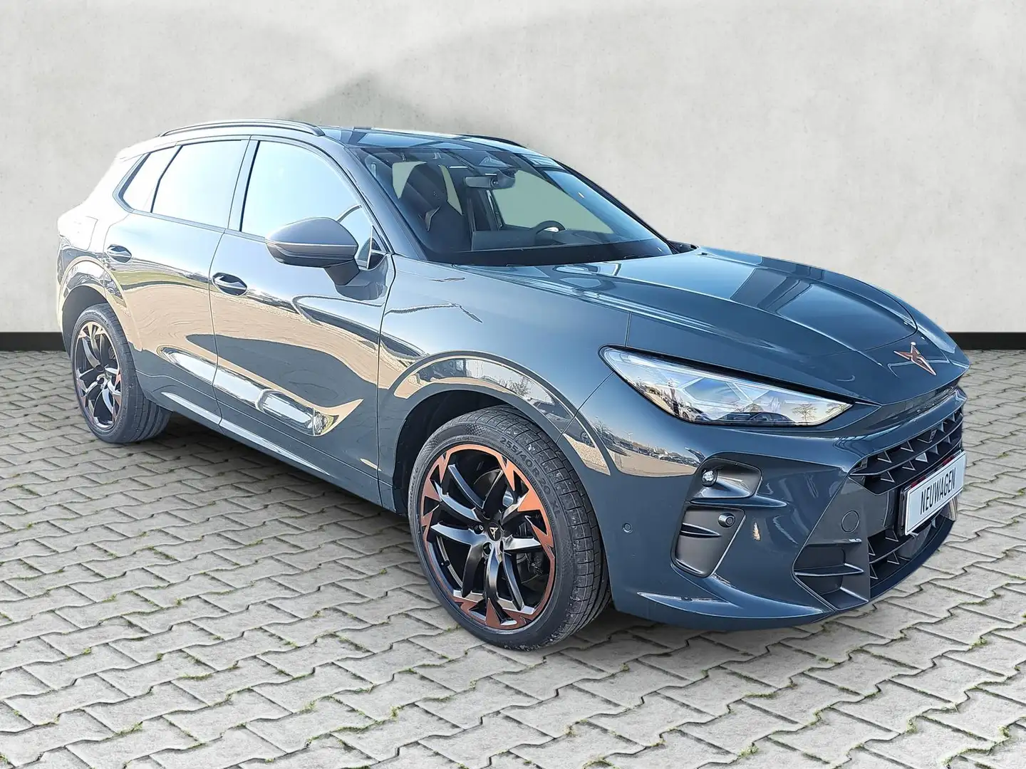 CUPRA Terramar VZ 2.0 TSI DSG 4Drive AHK Pano Leder Albastru - 2