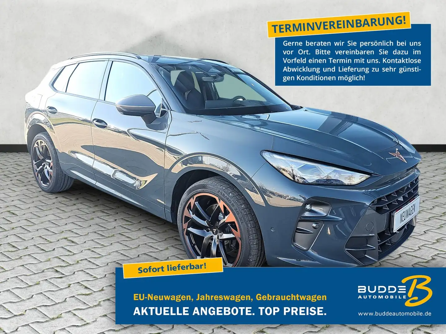 CUPRA Terramar VZ 2.0 TSI DSG 4Drive AHK Pano Leder Blau - 1