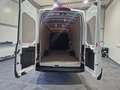 Ford Transit Kasten 2,0 EcoBlue Heck L4H3 350 Basis Weiß - thumbnail 10