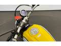 Ducati Scrambler 800 Icon Yellow Gelb - thumbnail 6
