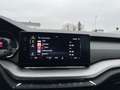 Skoda Octavia Combi 2,0 TDI | AHK Grau - thumbnail 20