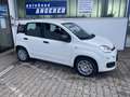 Fiat Panda 1.0 Hybrid, PDC, Bluetooth, Tempomat Blanc - thumbnail 4