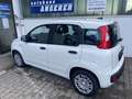 Fiat Panda 1.0 Hybrid, PDC, Bluetooth, Tempomat Blanc - thumbnail 5