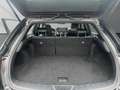Lexus UX 250h 250 H,LEDER,NAVI, HUD DISPLAY*LEDER Schwarz - thumbnail 19