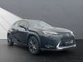 Lexus UX 250h 250 H,LEDER,NAVI, HUD DISPLAY*LEDER Schwarz - thumbnail 7