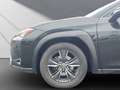 Lexus UX 250h 250 H,LEDER,NAVI, HUD DISPLAY*LEDER Schwarz - thumbnail 21