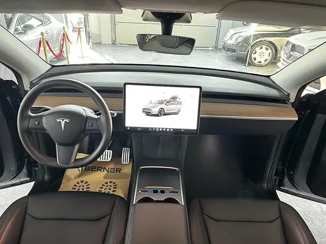 Tesla Model Y view 10